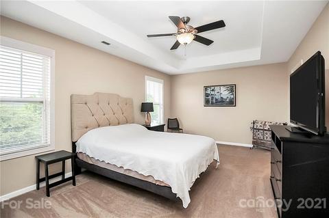 11048 Hat Creek Ln, Davidson, NC 28036 photo 12