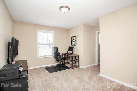 11048 Hat Creek Ln, Davidson, NC 28036 photo 18