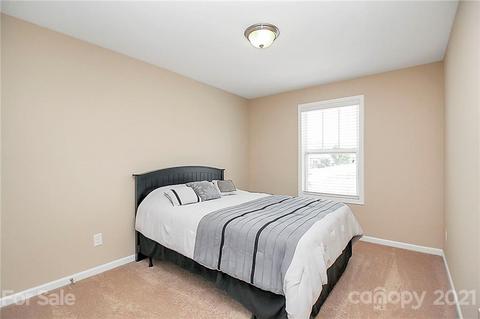 11048 Hat Creek Ln, Davidson, NC 28036 photo 20