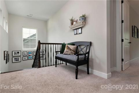 17532 Julees Walk Ln, Davidson, NC 28036 photo 13