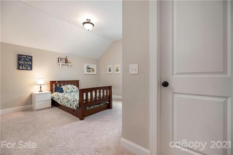 17532 Julees Walk Ln, Davidson, NC 28036 photo 22