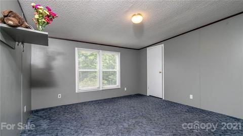 449 Divide Loop, Flat Rock, NC 28731 photo 26