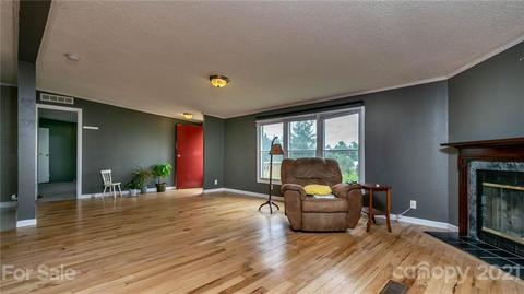 449 Divide Loop, Flat Rock, NC 28731 photo 8