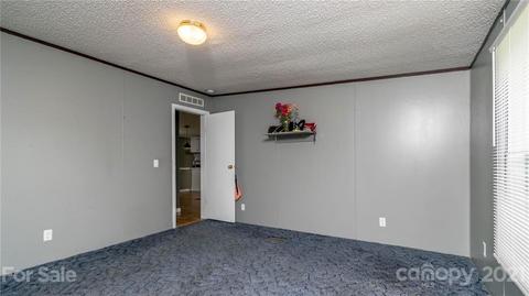 449 Divide Loop, Flat Rock, NC 28731 photo 28