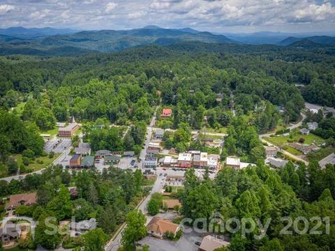 363 Bobcat Trl, Saluda, NC 28773 photo 47