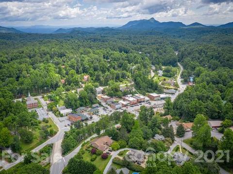 363 Bobcat Trl, Saluda, NC 28773 photo 48