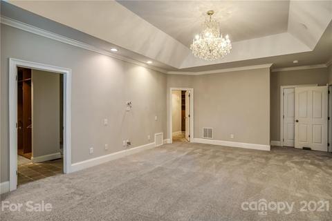 19417 River Falls Dr, Davidson, NC 28036 photo 18