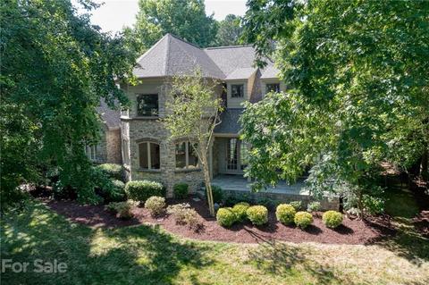 19417 River Falls Dr, Davidson, NC 28036 photo 30