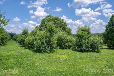 950 Staton Rd, Flat Rock, NC 28731 photo 25