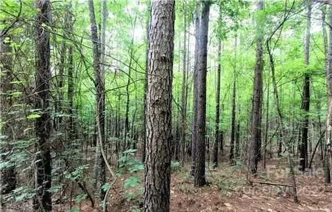 0 Chasewood 8 Dr #8, Rutherfordton, NC 28139
