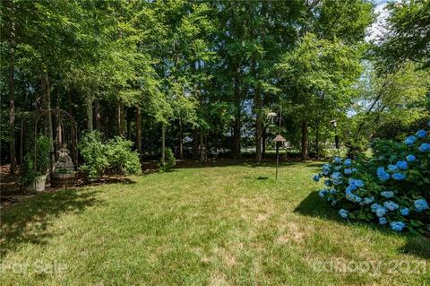 19010 Ruffner Dr, Cornelius, NC 28031 photo 40