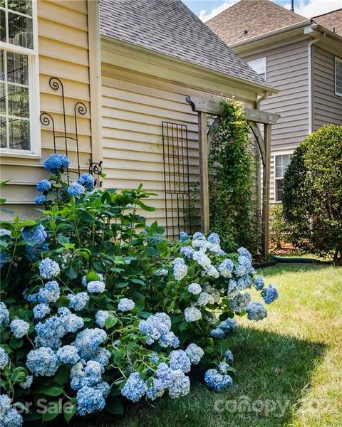 19010 Ruffner Dr, Cornelius, NC 28031 photo 38