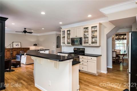 19010 Ruffner Dr, Cornelius, NC 28031 photo 15