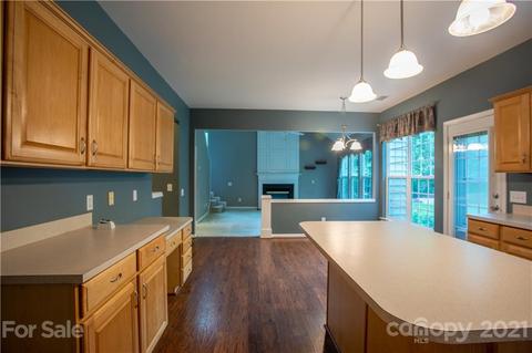 20105 Washam St, Cornelius, NC 28031 photo 10