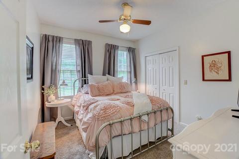 21 E Chasis Ct, Mills River, NC 28759 photo 30