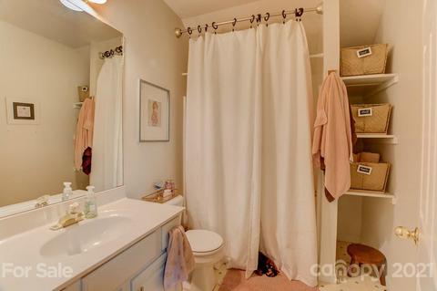 21 E Chasis Ct, Mills River, NC 28759 photo 36