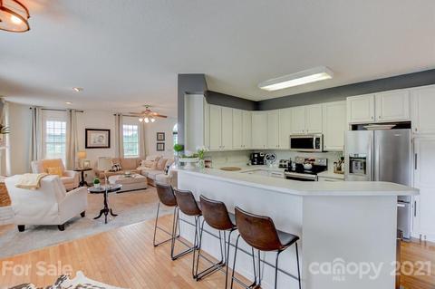 21 E Chasis Ct, Mills River, NC 28759 photo 16