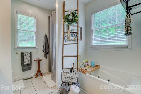 21 E Chasis Ct, Mills River, NC 28759 photo 20