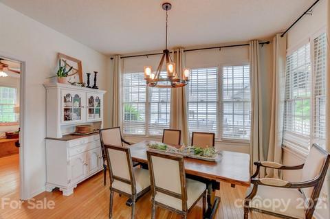21 E Chasis Ct, Mills River, NC 28759 photo 17