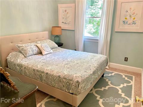 207 Mcconnell Dr, Davidson, NC 28036 photo 20