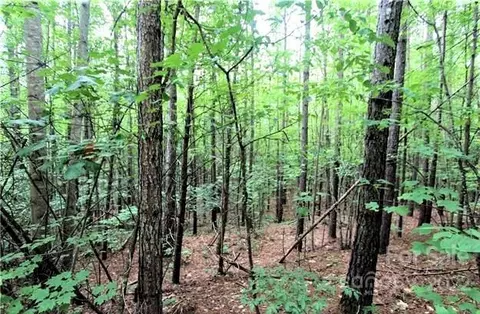0 Chasewood 13 Dr #13, Rutherfordton, NC 28139