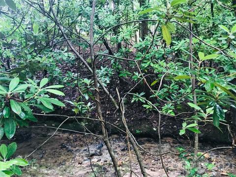 219 Mcneilly Rd, Casar, NC 28020 photo 6
