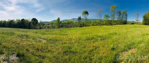 219 Mcneilly Rd, Casar, NC 28020 photo 3
