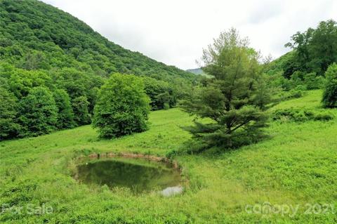 10963 Caney Fork Rd, Cullowhee, NC 28723 photo 1