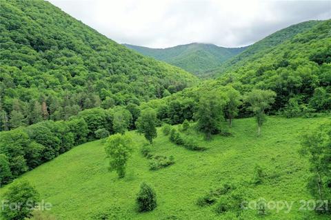 10963 Caney Fork Rd, Cullowhee, NC 28723 photo 3