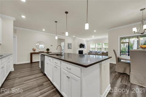 1024 Ellington Downs Way, Monroe, NC 28110 photo 7