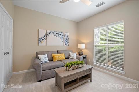 18775 Vineyard Point Ln, Cornelius, NC 28031 photo 27