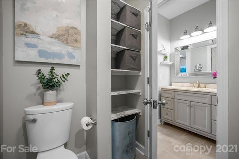 18775 Vineyard Point Ln, Cornelius, NC 28031 photo 20