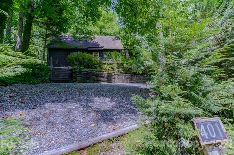 401 Hungry River Rd, Flat Rock, NC 28731 photo 45