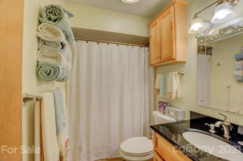 401 Hungry River Rd, Flat Rock, NC 28731 photo 14