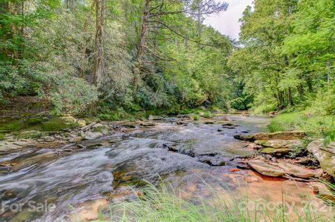 401 Hungry River Rd, Flat Rock, NC 28731 photo 44