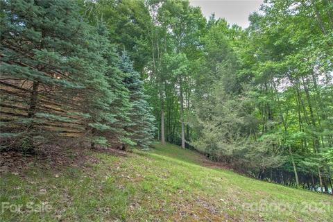 51 Gardenside Rd, Mars Hill, NC 28754 photo 33