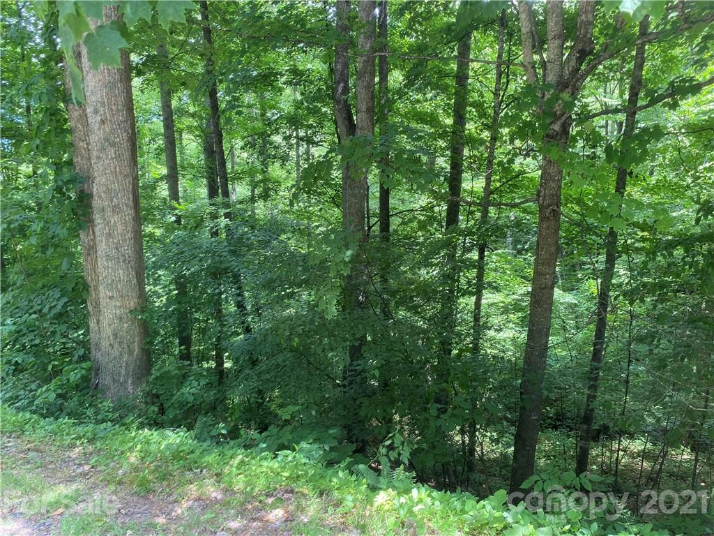 Dry Spring 161 Loop Unit 161  