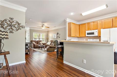 10629 Trolley Run Dr, Cornelius, NC 28031 photo 10