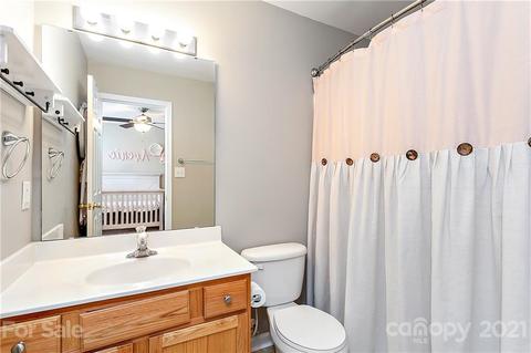 10629 Trolley Run Dr, Cornelius, NC 28031 photo 23