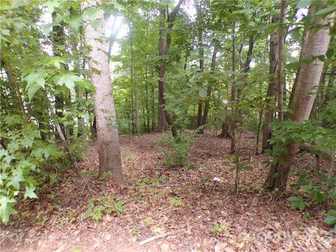 3017 Dodsworth Dr, Cramerton, NC 28032 photo 5