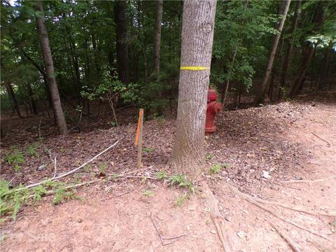 3017 Dodsworth Dr, Cramerton, NC 28032 photo 7