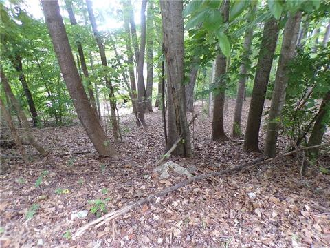 3017 Dodsworth Dr, Cramerton, NC 28032 photo 4