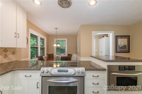 41 Glenwalden Cir, Tryon, NC 28782 photo 20