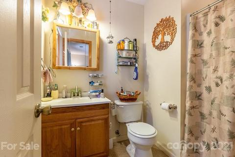 686 Thunderbird Rd, Sylva, NC 28779 photo 23
