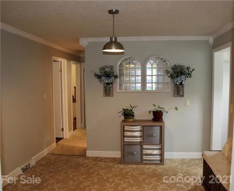 96 E View Dr, Flat Rock, NC 28731 photo 5