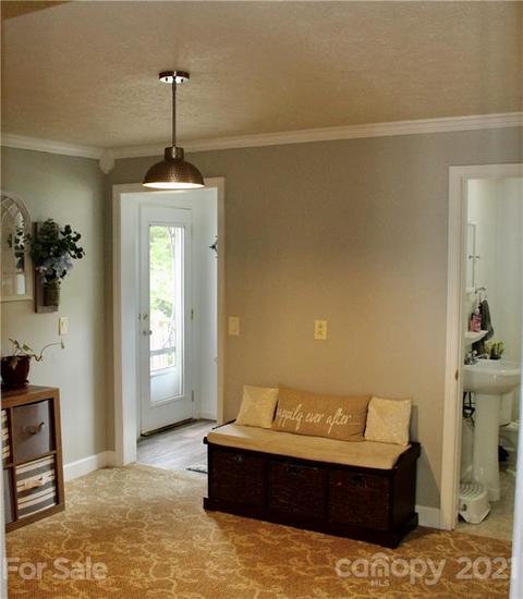 96 E View Dr, Flat Rock, NC 28731 photo 6