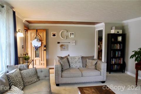 96 E View Dr, Flat Rock, NC 28731 photo 3