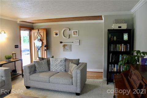 96 E View Dr, Flat Rock, NC 28731 photo 4