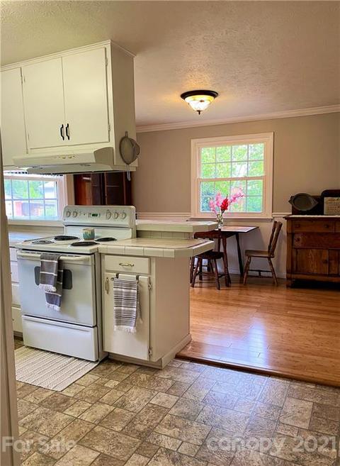 96 E View Dr, Flat Rock, NC 28731 photo 15
