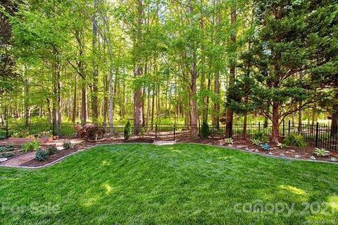 18604 Dembridge Dr, Davidson, NC 28036 photo 18